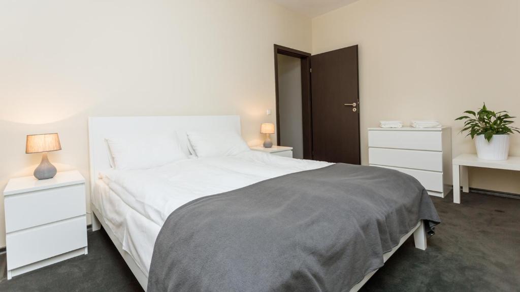 Rakhiv Hotel & Apartments - Appartement De Deux Chambres