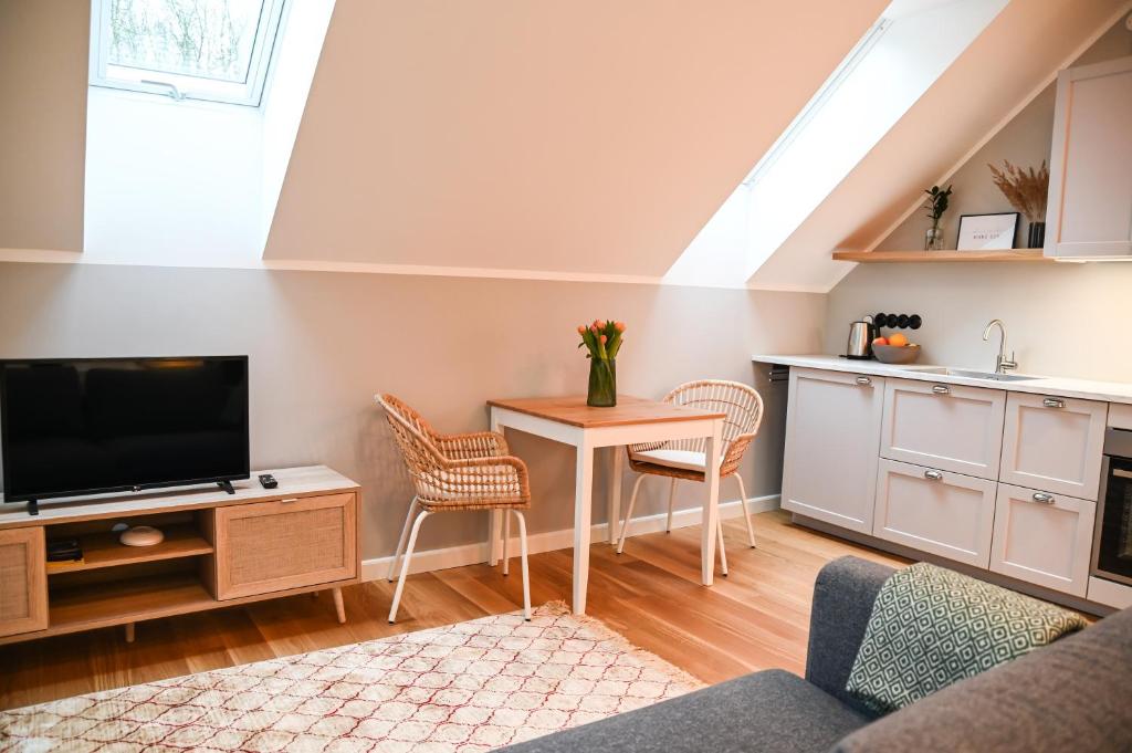 Televiisor ja/või meelelahutuskeskus majutusasutuses Tohi Distillery apartments