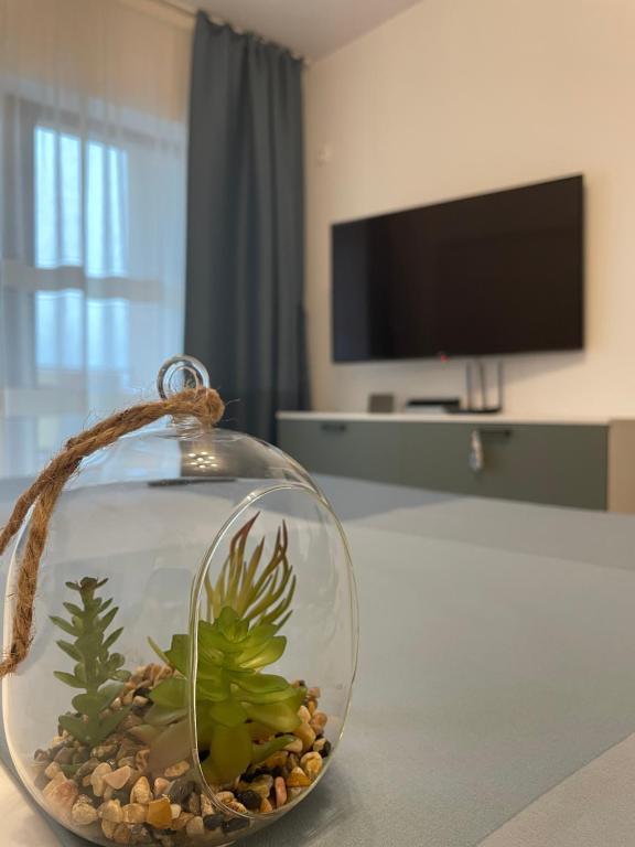 un bol de poisson avec une plante sur une table dans l'établissement New Studio, à Piteşti