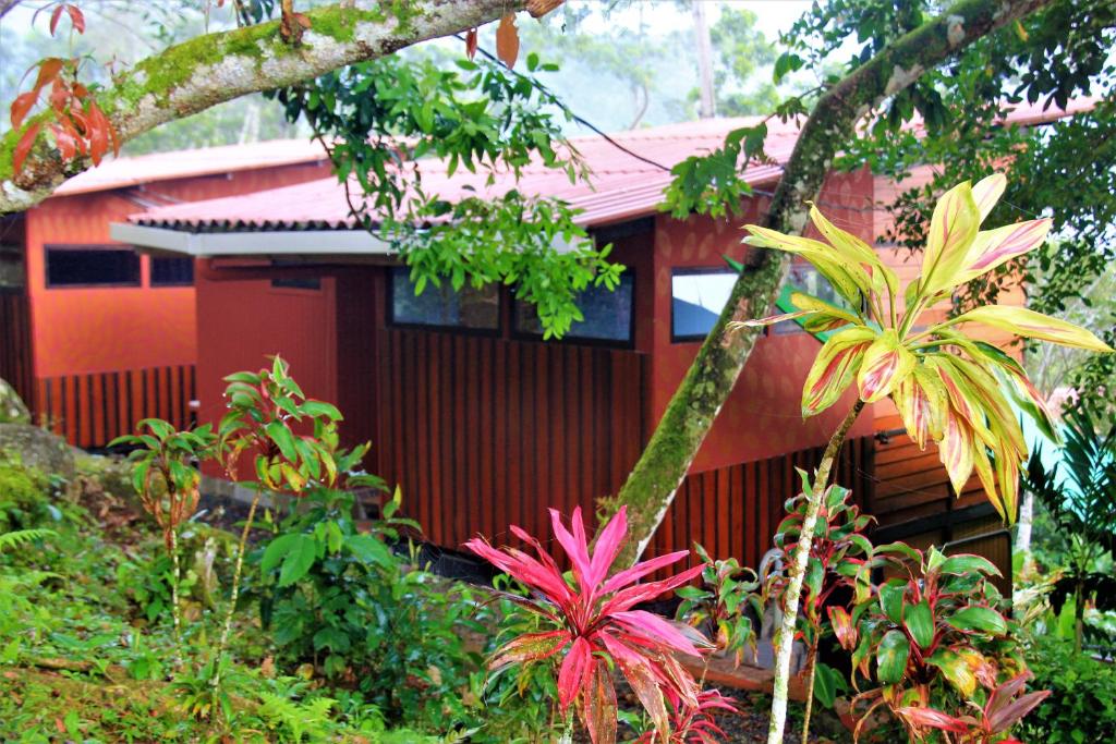 ein rotes Haus inmitten eines Gartens in der Unterkunft Casitas Eco Bambú in Cartago