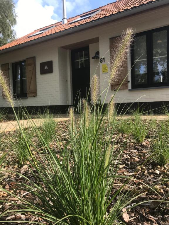 a house with a plant in front of it at La maison du pêcheur Koksijde in Koksijde