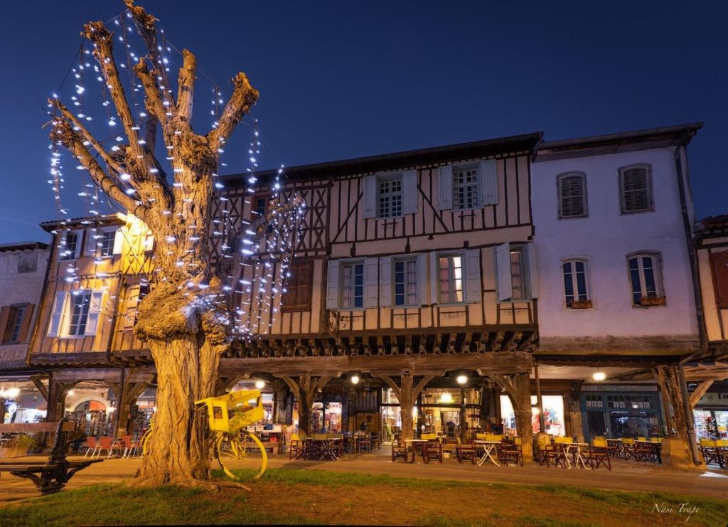 a building with a tree in front of it at La Maison des Consuls in Mirepoix