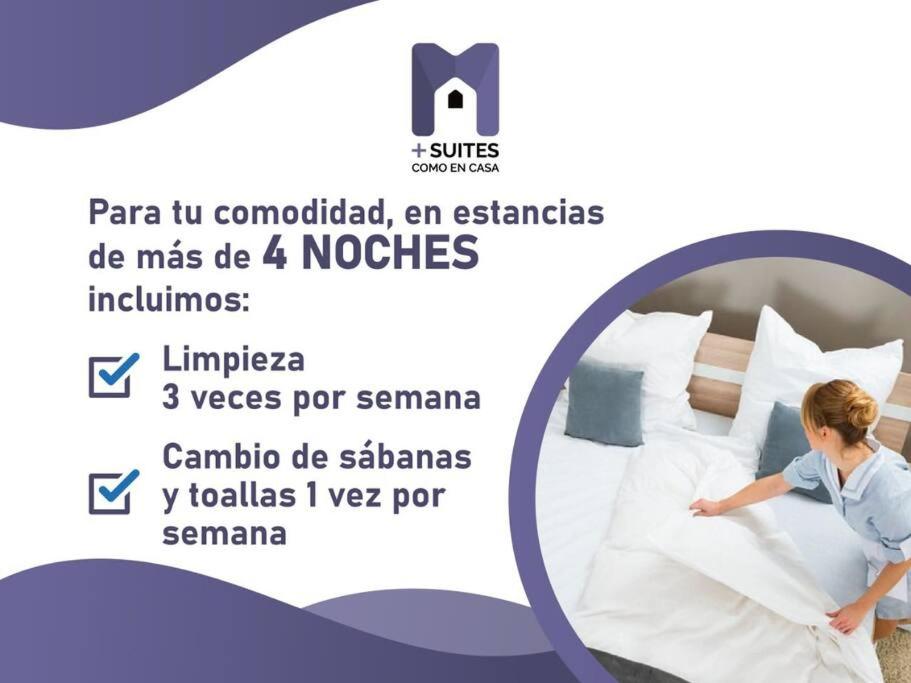 +MS +Casa Limón +16 Pax +Wifi 150Mb - Error