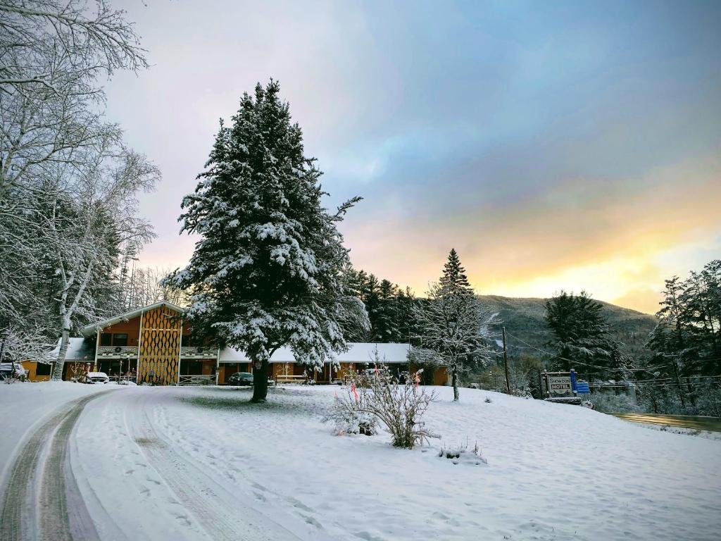 Snowdon Chalet Motel v zimě