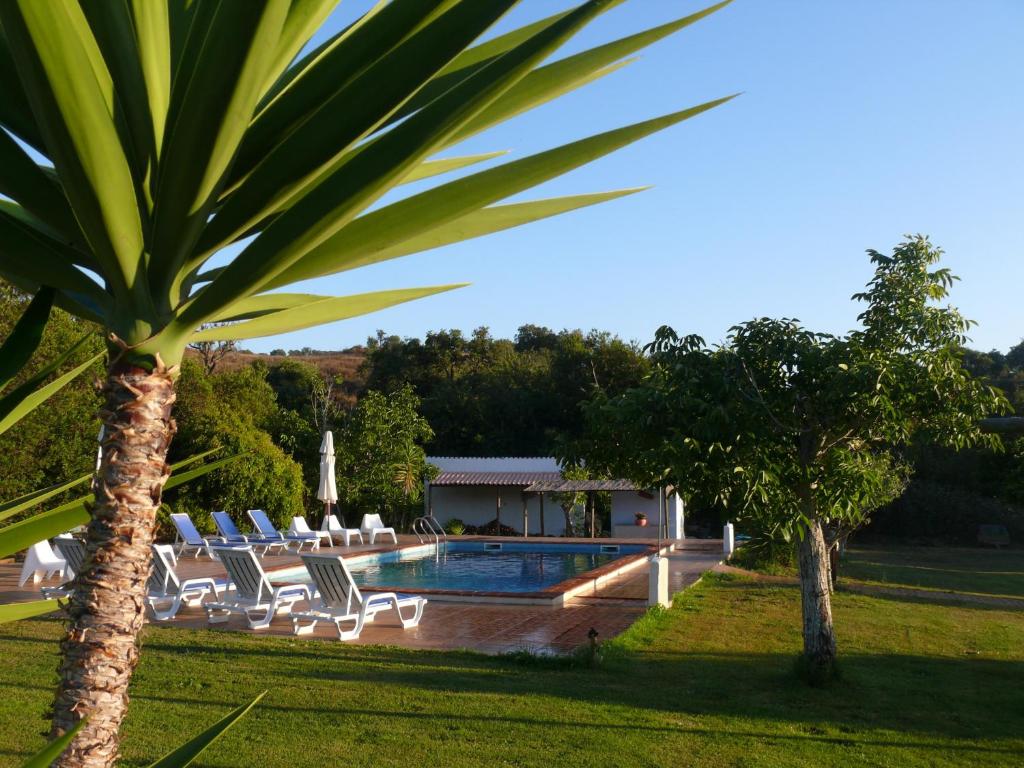 a swimming pool with lounge chairs and a palm tree at Monte Do Adail Turismo Rural Casa De Campo in Vila Nova de Milfontes