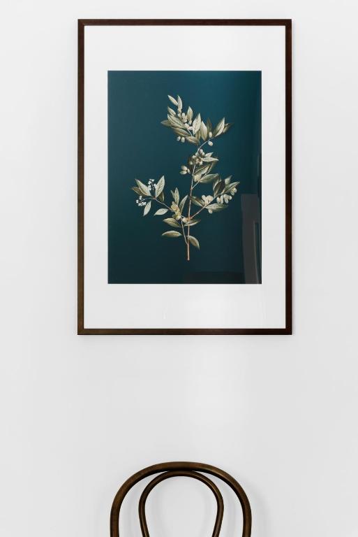 Hotel Challis Potts Point - Resim 28