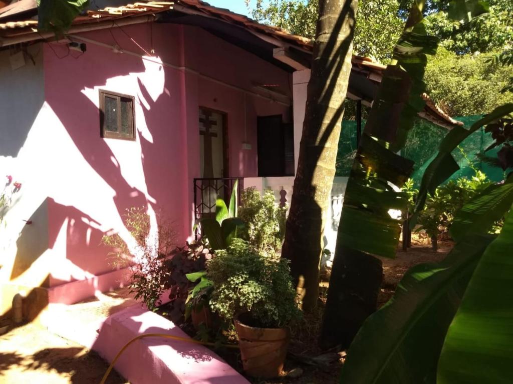 Gallery image of Agonda pink house in Canacona