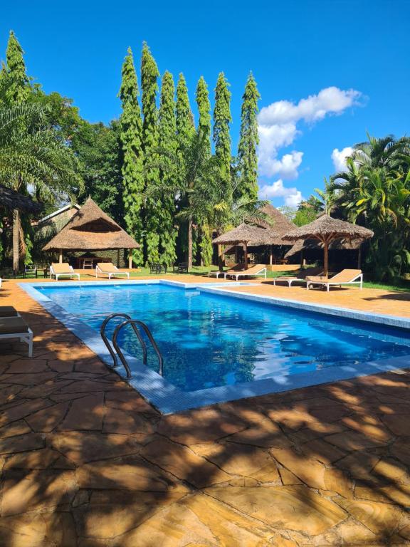 a swimming pool at a resort with trees at Honey Badger Lodge in Moshi