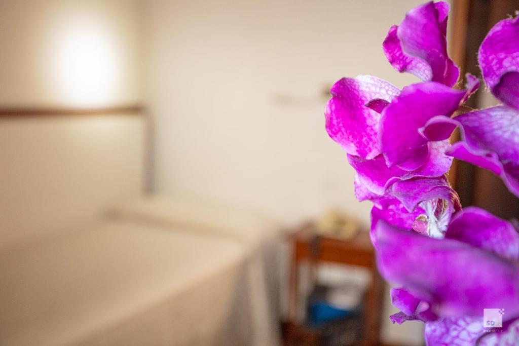 Hotel Blumen Collection by GSA Hotels - Resim 36