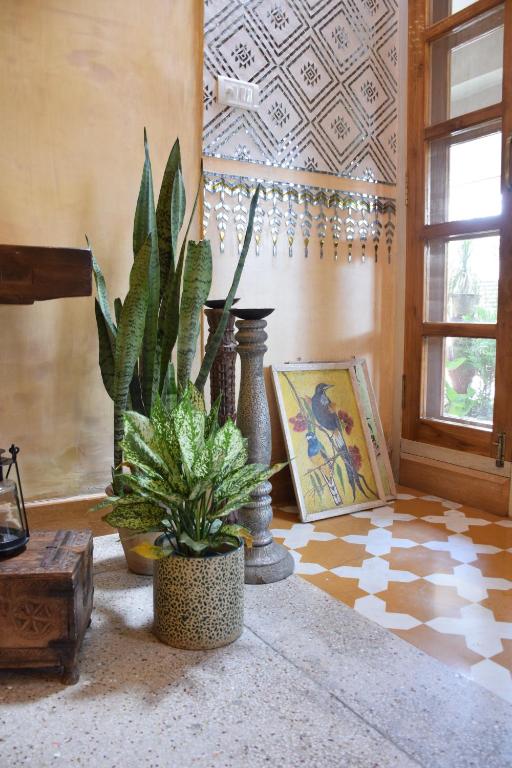 Foto sihtkohas Jaipur asuva majutusasutuse Mukam, Boutique Homestay galeriist