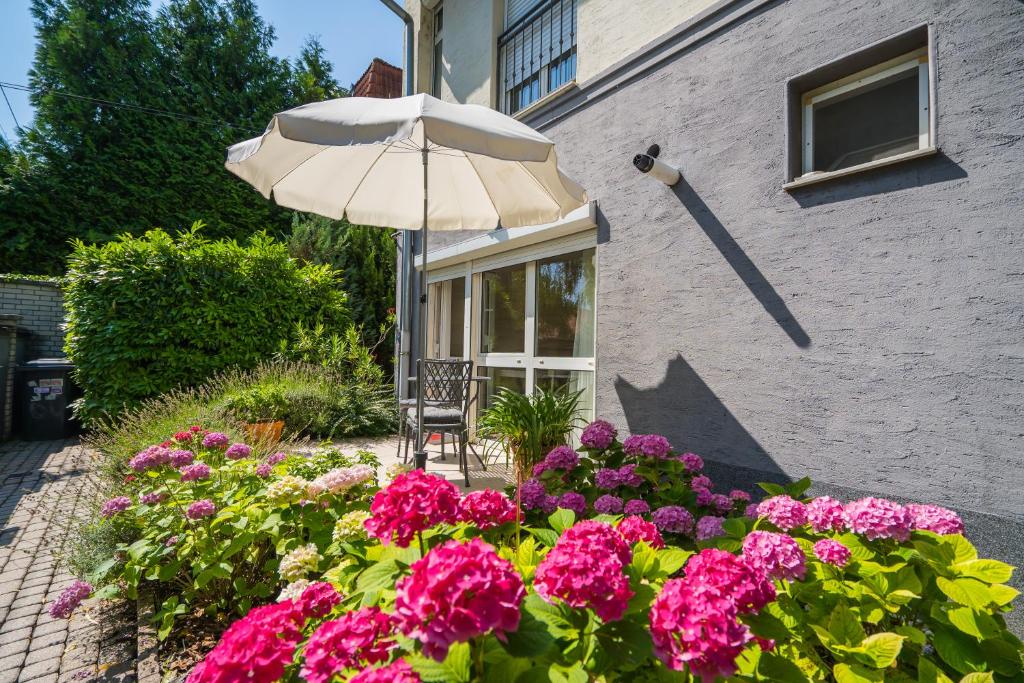Csenge Villa - Studio Apartment