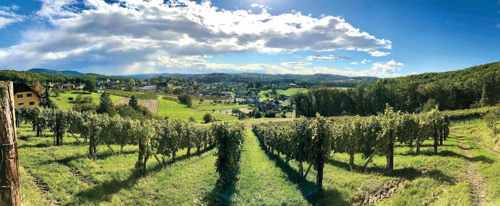 Landhaus Bad Gleichenberg - 15