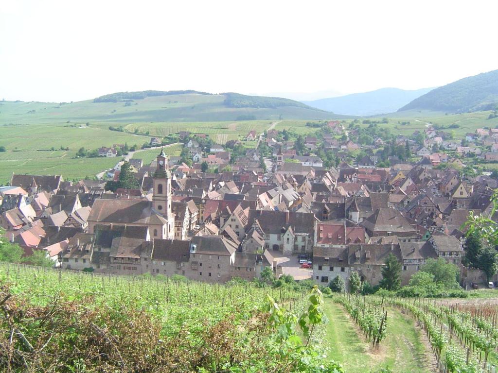 La Maison Vigneronne – photo 21