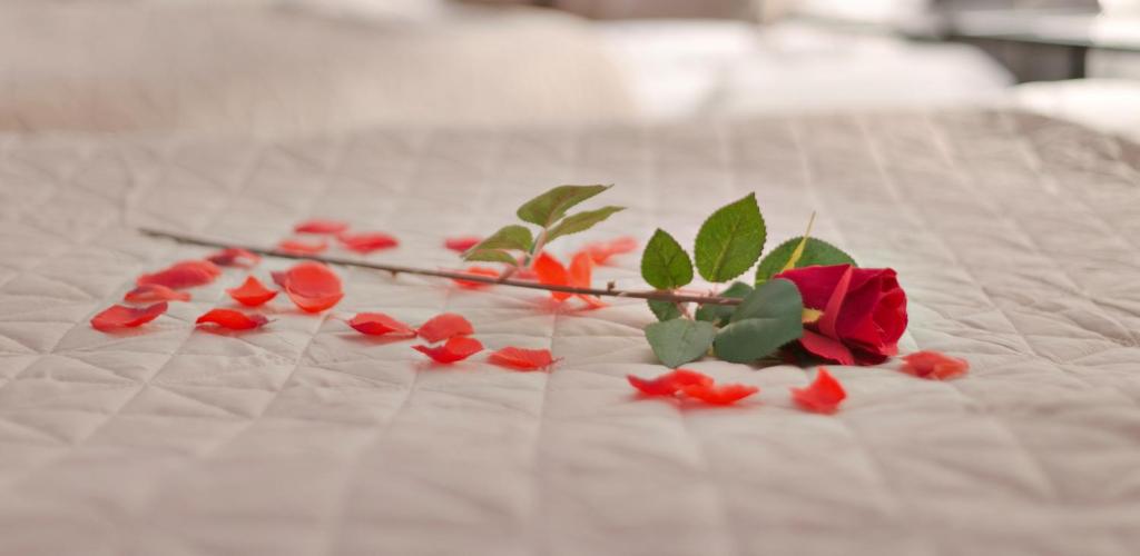 Wellness Suite Utrecht