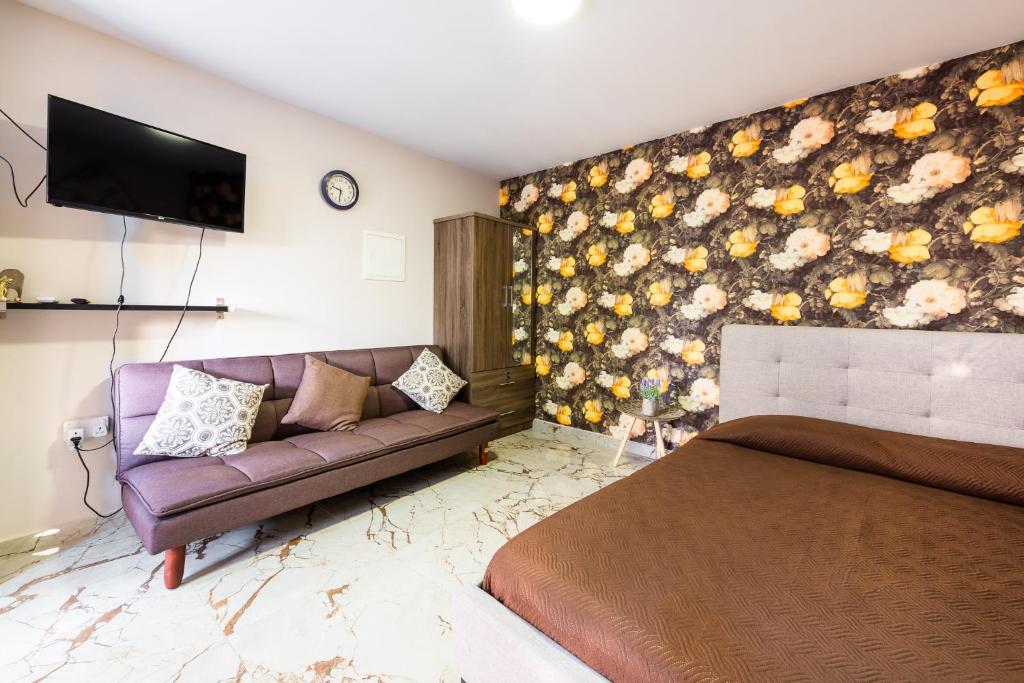 Pinecone Platres - 3 Units - Studio