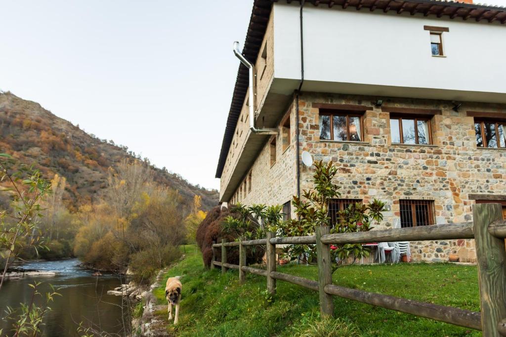 un perro parado frente a una casa al lado de un río en Hostal Restaurante Ventasierra, en Valdoré