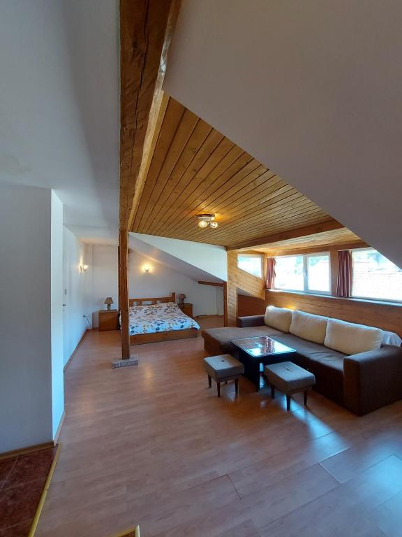 uma sala de estar com um sofá e uma cama em Vasi Apartments em Dobrinishte