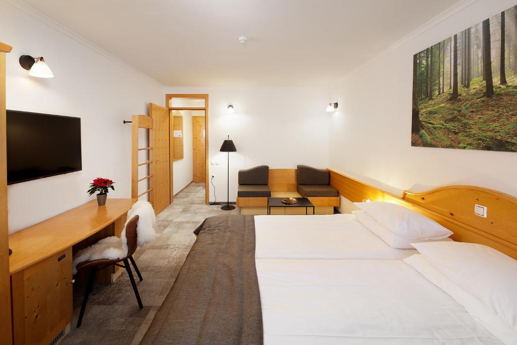 Televiisor ja/või meelelahutuskeskus majutusasutuses Hotel Planja