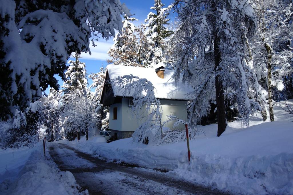 Forest House - Three-Bedroom House
