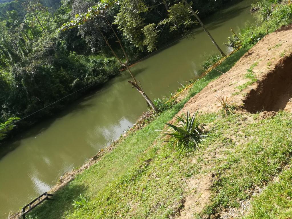 Sinharaja Vini Villa - 14