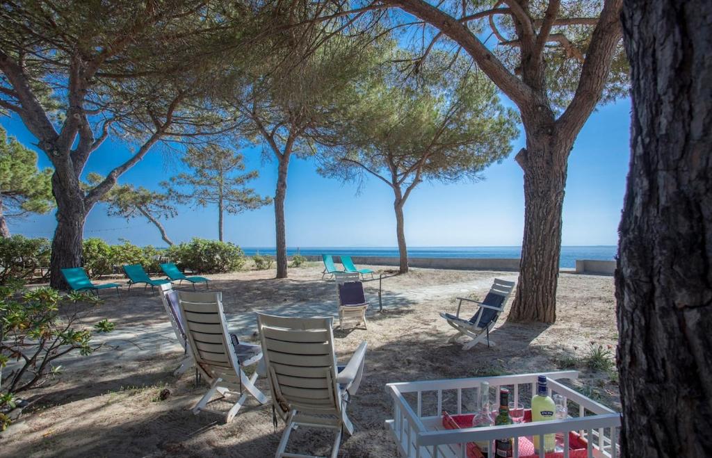 eine Gruppe von Stühlen am Strand mit Bäumen in der Unterkunft Villa Les 3 frères in San-Nicolao