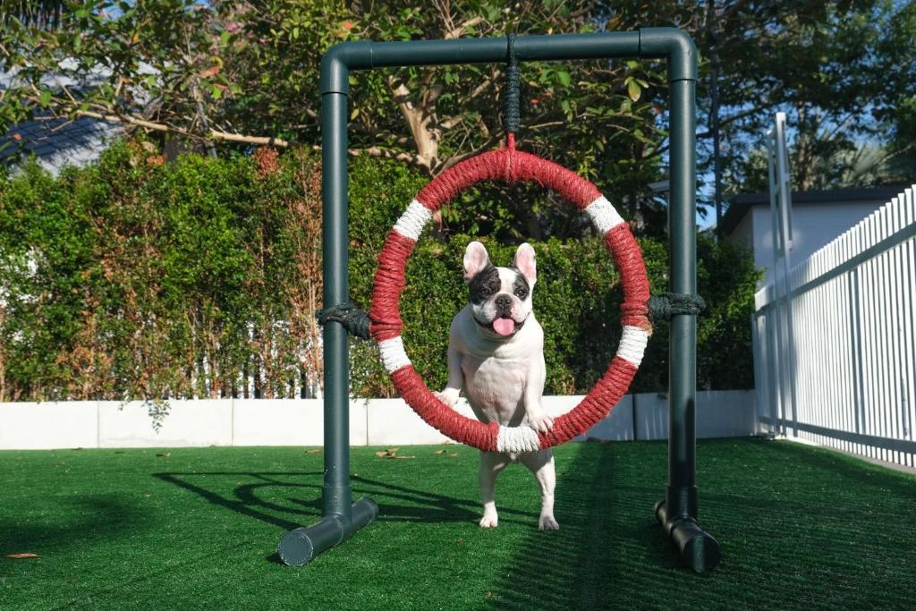 
Villa - Pet Friendly 
