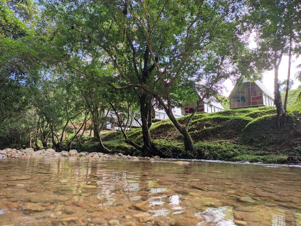 une rivière avec des arbres et une maison en arrière-plan dans l'établissement Paraíso Escondido Cabañas, Reserva Rio Claro, San Luis-Doradal, à San Luis