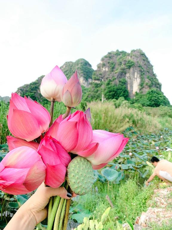 Lotus Field Homestay - 10