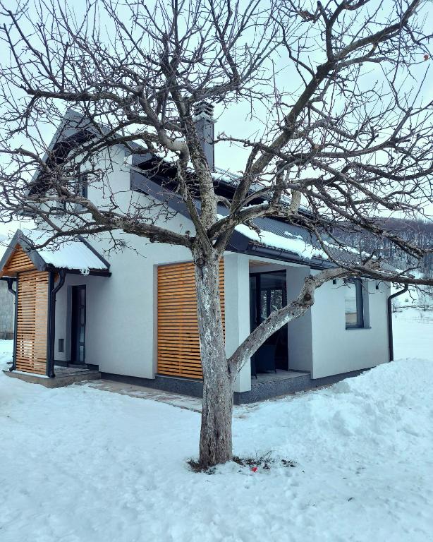 House For Rest VIN v zimě
