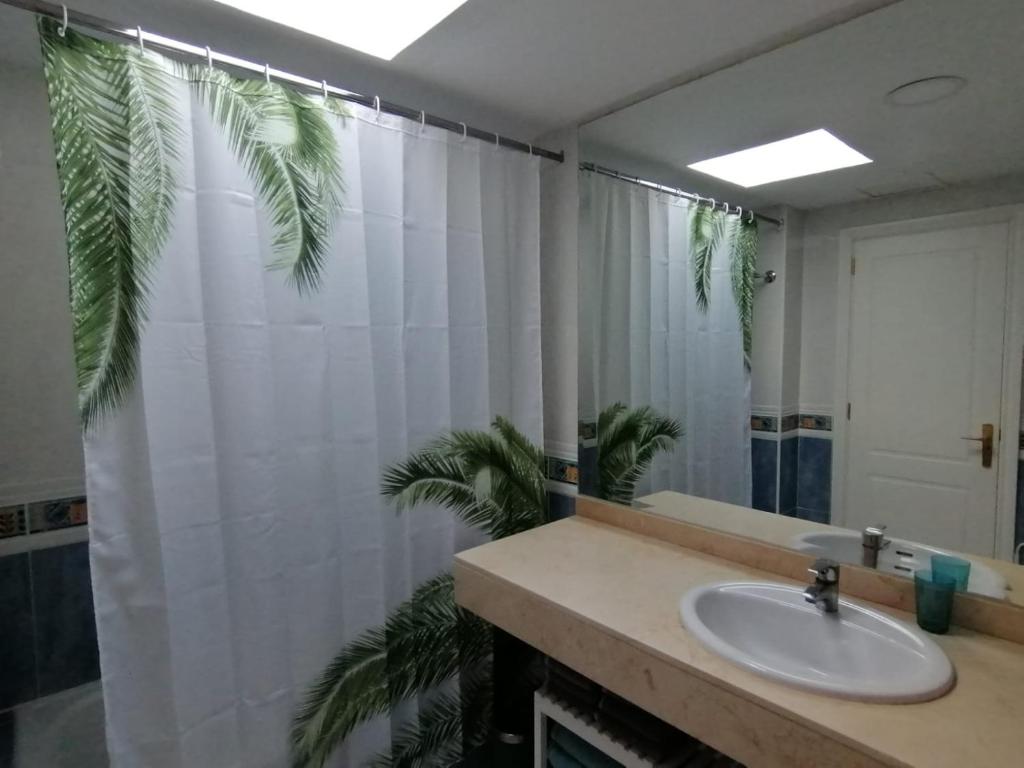 Fotografie z fotogalerie ubytování Oasis Waves House v destinaci Corralejo