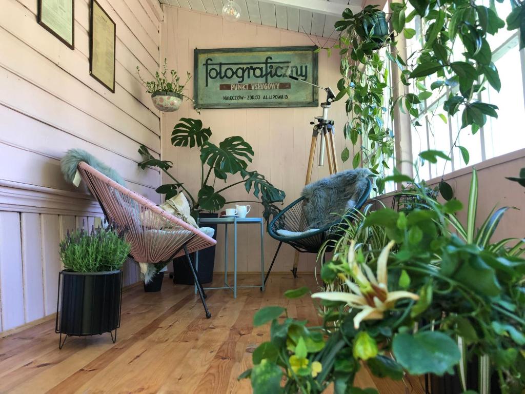 a room with plants and chairs and a table at Atelier Foto Lipowa - Apartamenty in Nałęczów