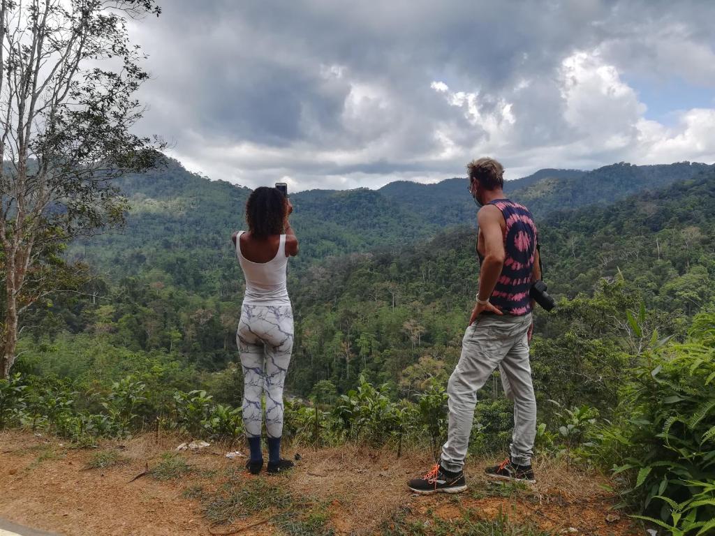 Sinharaja Vini Villa - 16