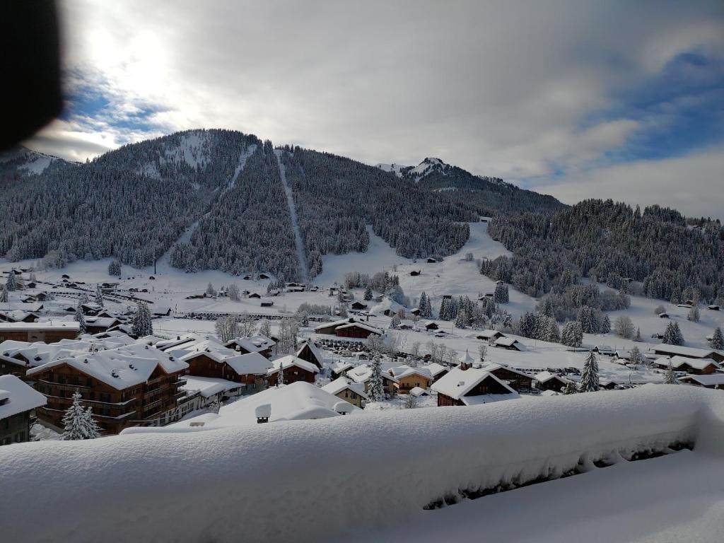 una ciudad cubierta de nieve frente a una montaña en Studio avec vue splendide sur les Diablerets, en Les Diablerets