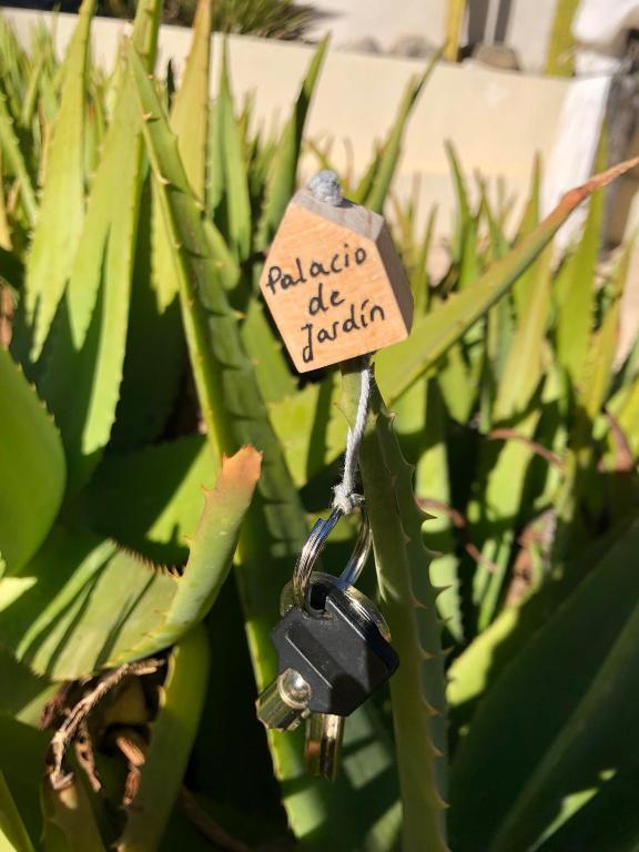 Vonkajšia záhrada v ubytovaní CASA-ORBETA
