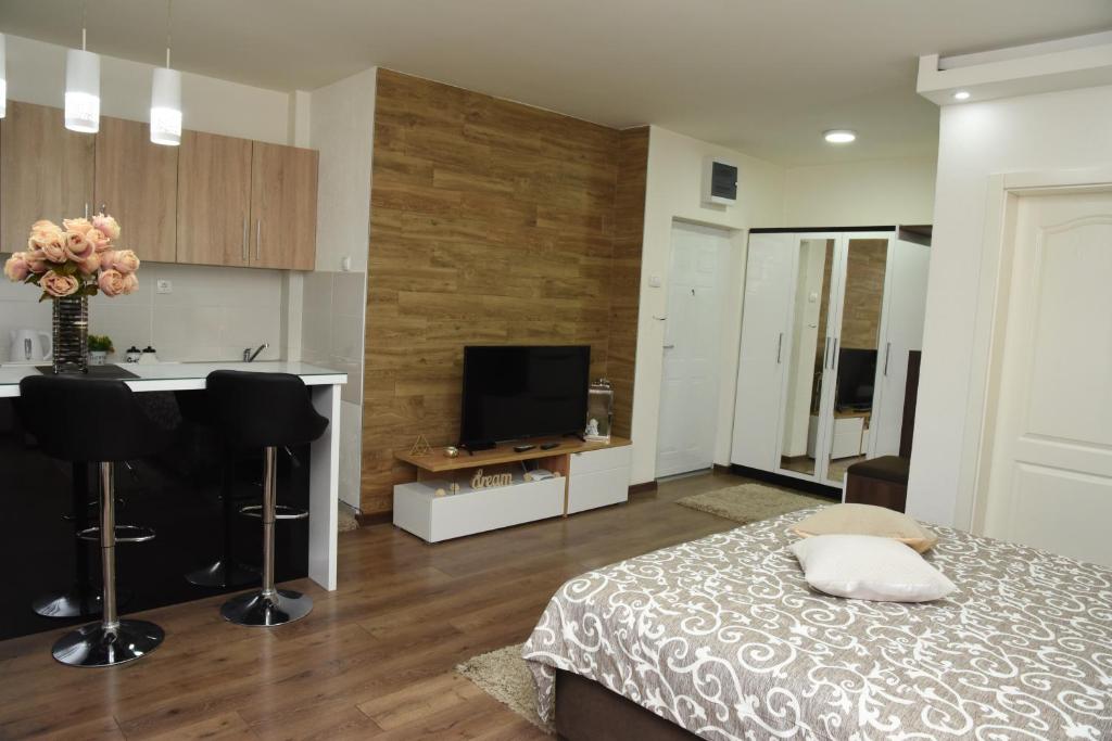 TV a/nebo společenská místnost v ubytování Apartmani Sofronic Loznica 2