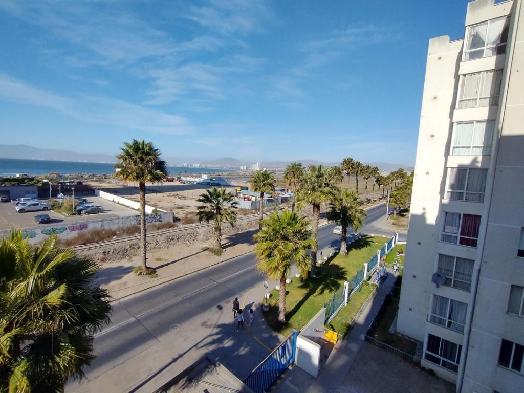 vistas a una calle con palmeras y a un edificio en Departamento Maipu 501, en Coquimbo