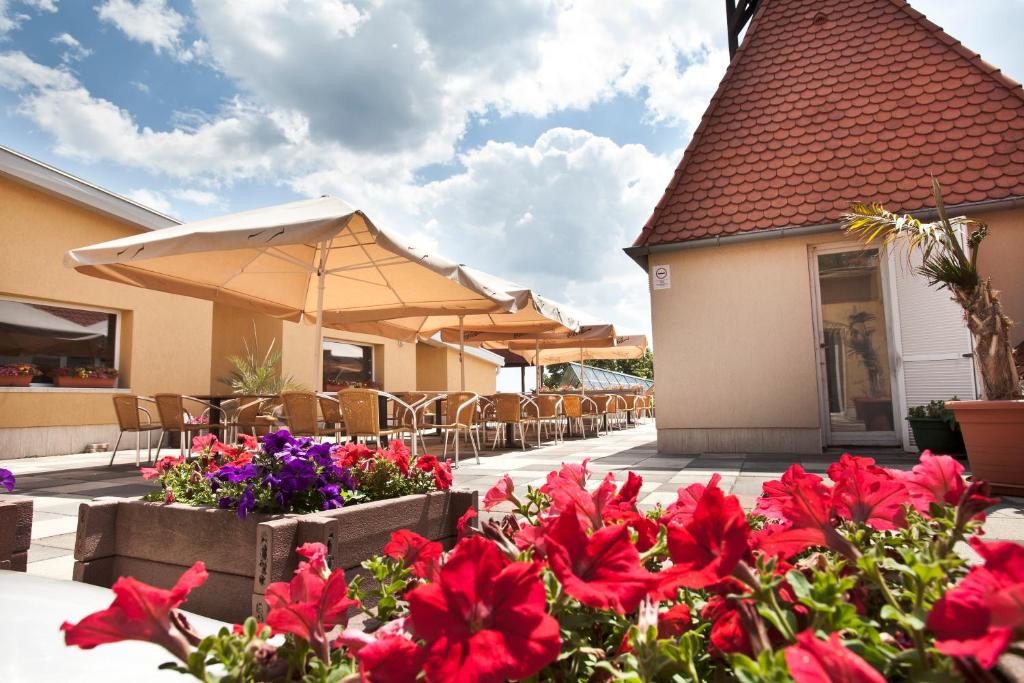 Fotografie z fotogalerie ubytování Hotel Makar Sport & Wellness v destinaci Pécs