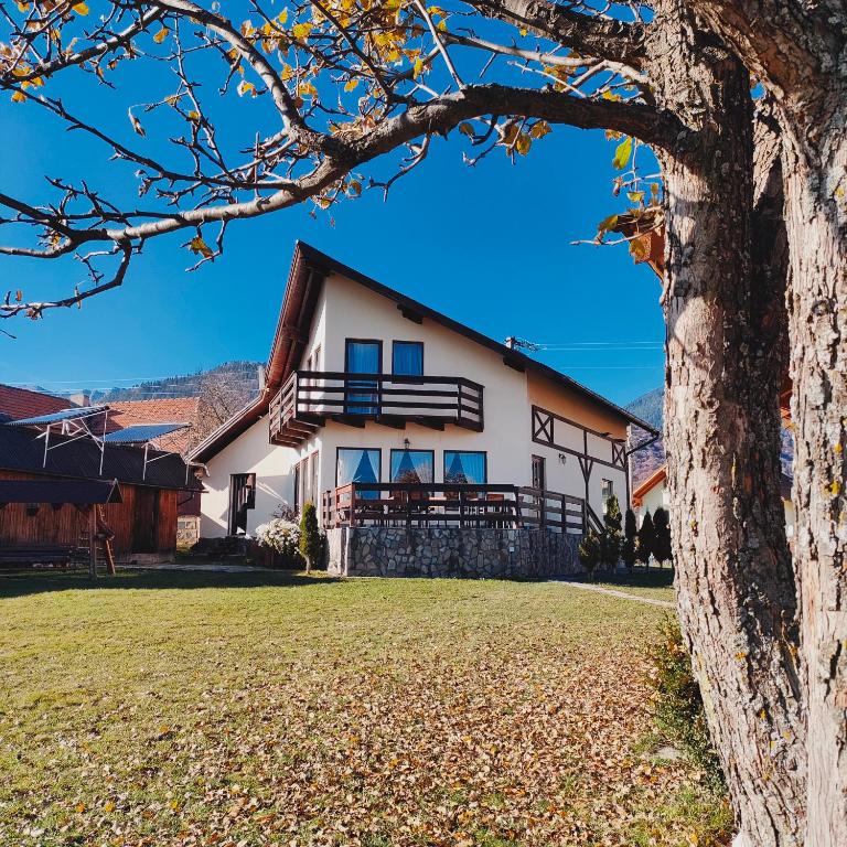 a house with a tree in front of it at Pension Nea Marin in Măgura