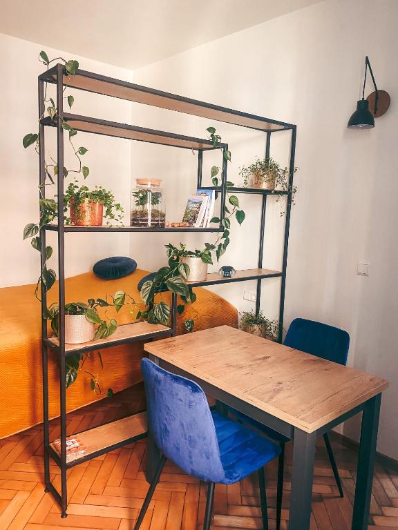 FlowerLoft - 一居室公寓