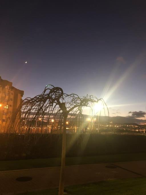 Acogedor y lleno de luz. Como en casa, en Coruña., A Coruña ...