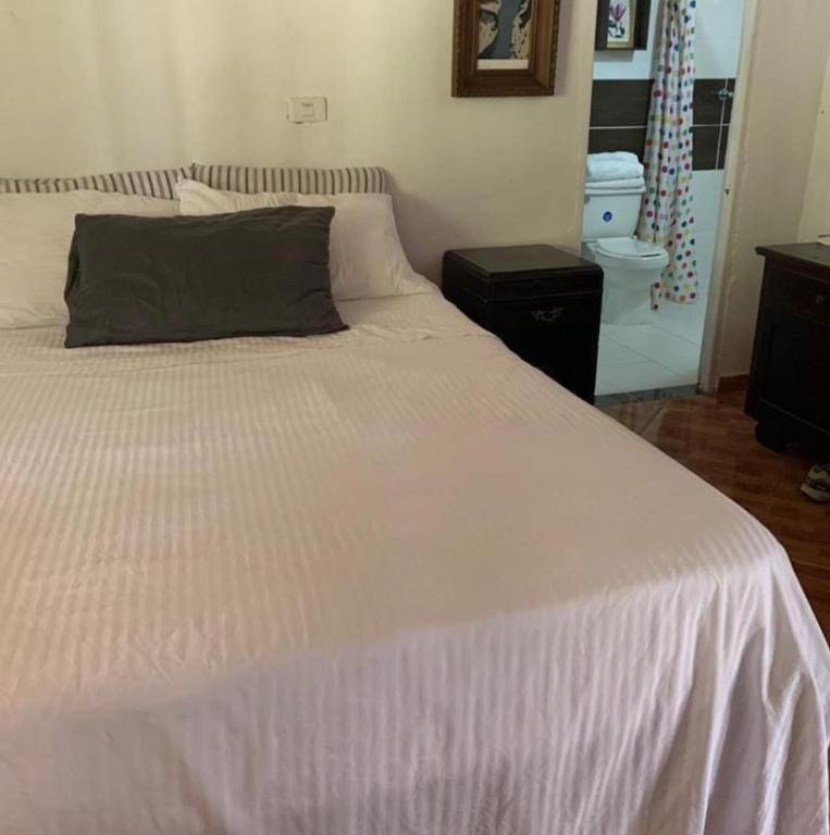 a bedroom with a large white bed and a bathroom at Casa Horizontes in San Carlos