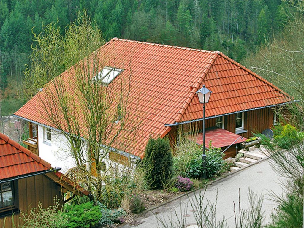 een huis met een oranje dak op een berg bij Holiday Home Sonnenschein by Interhome in Hornberg