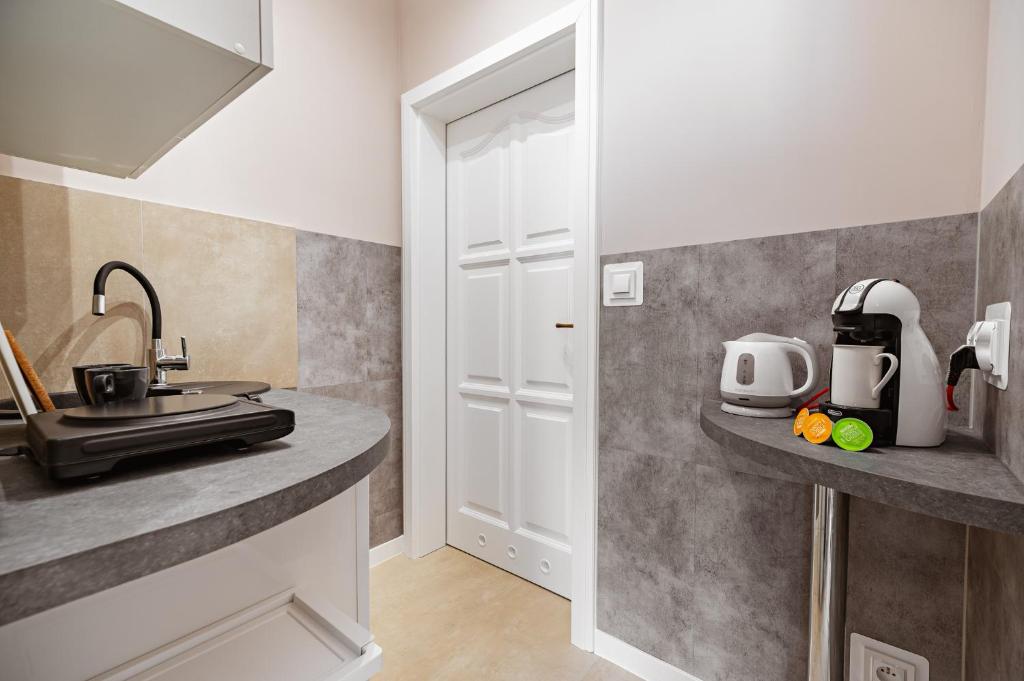 Kuchyňa alebo kuchynka v ubytovaní Apartamenty Nad Wodą - Layla
