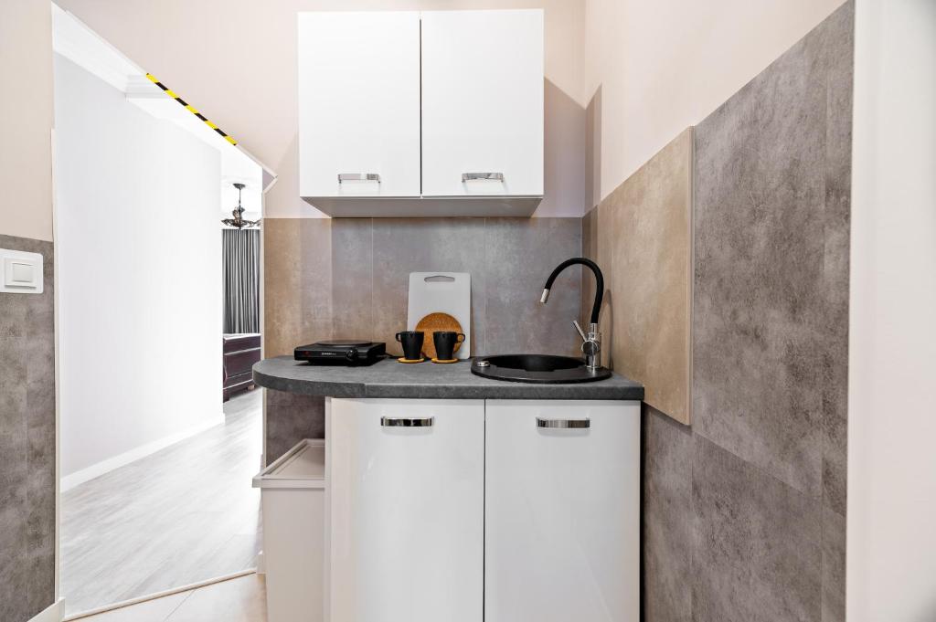Kuchyňa alebo kuchynka v ubytovaní Apartamenty Nad Wodą - Layla