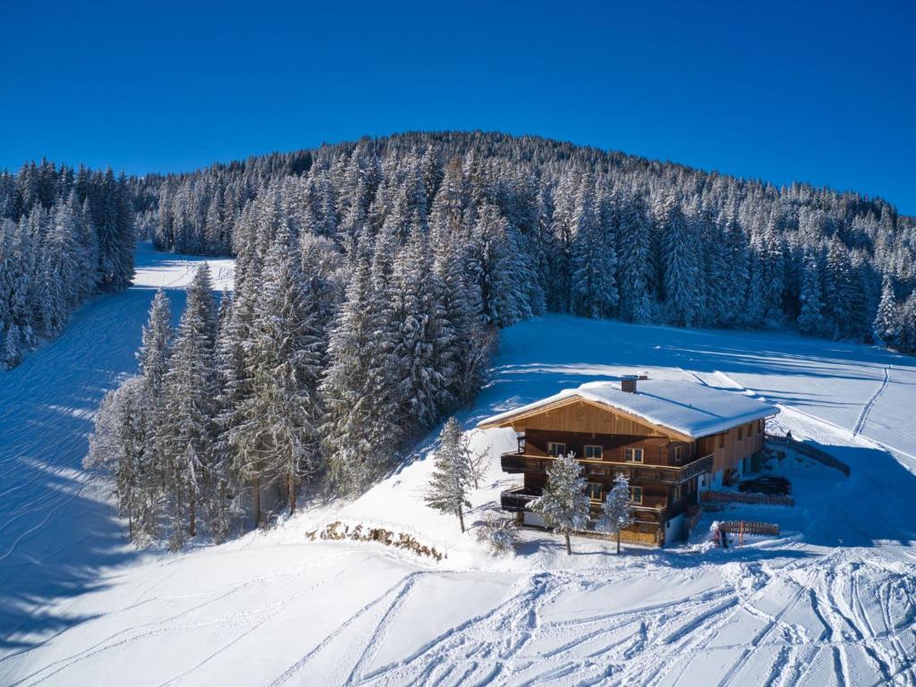 Apartment Chalet Edelweiß - WIL001 by Interhome