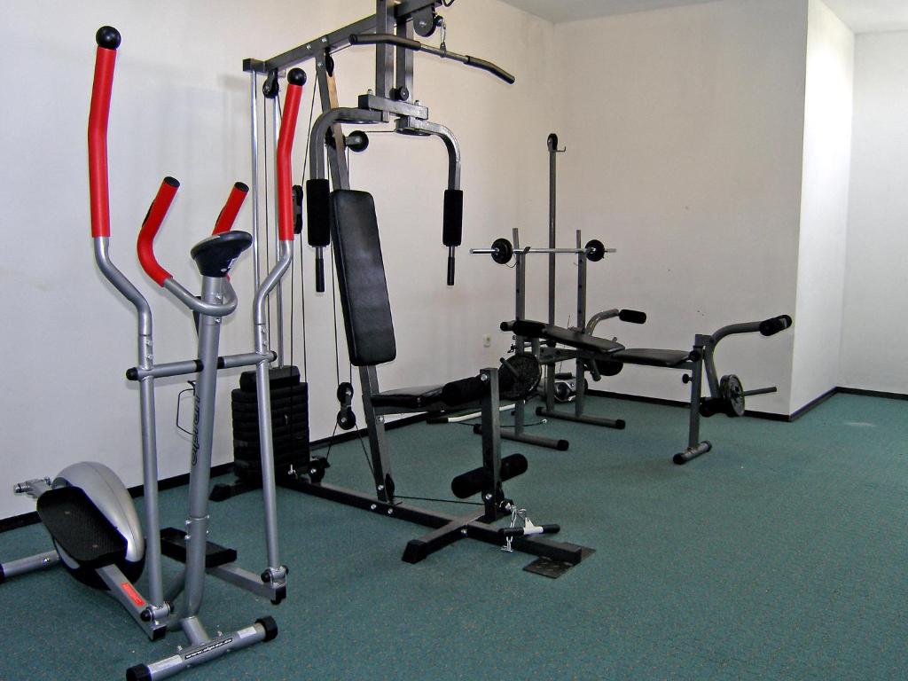 Centrum fitness w obiekcie Apartment Melandura-1 by Interhome