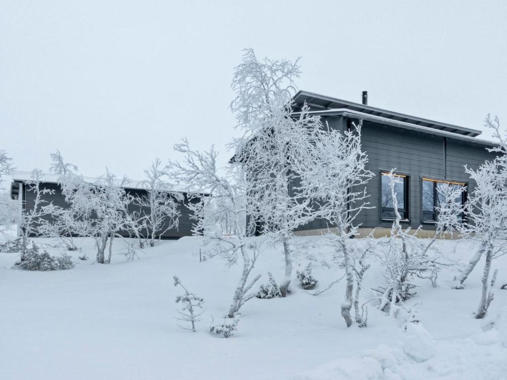 Holiday Home Villa viima by Interhome v zimě
