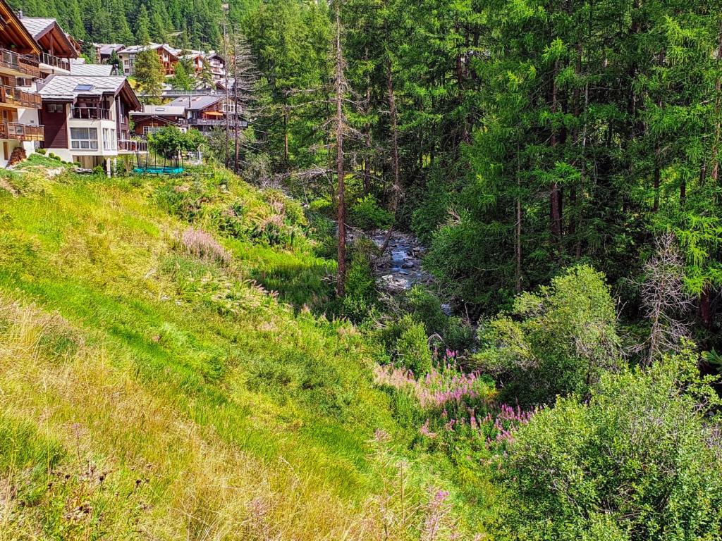 Příroda nedaleko apartmánu