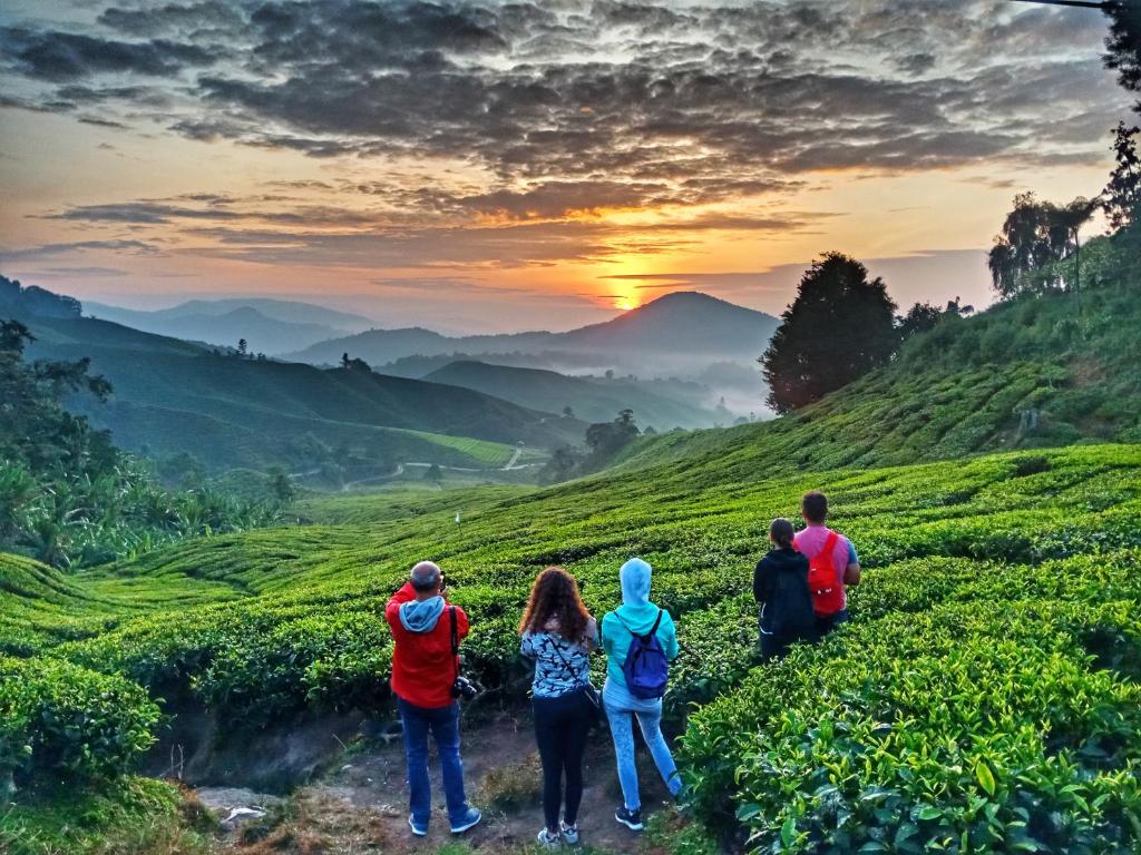 un grupo de personas de pie en una colina mirando la puesta de sol en 100 Oastel coLiving en Tanah Rata