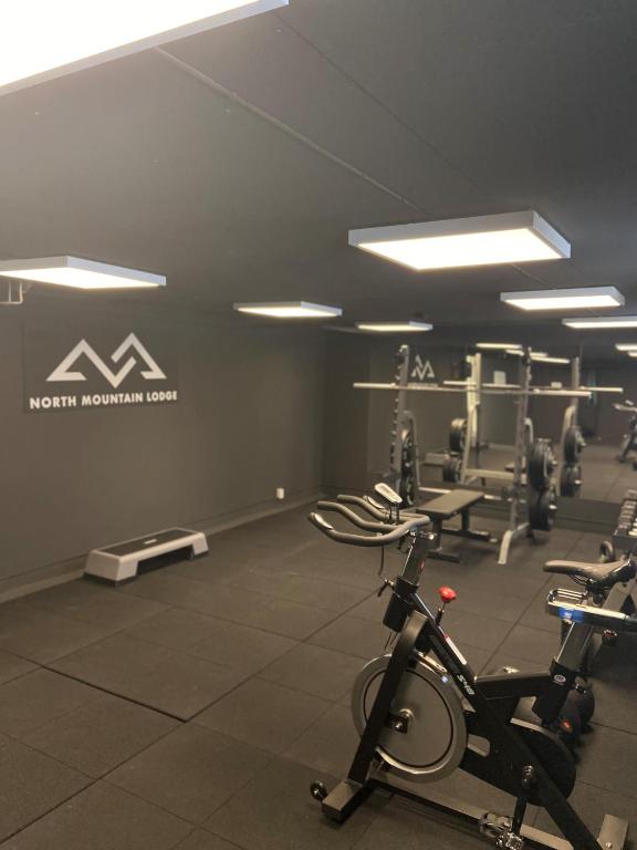 Fitness centrum a/nebo fitness zařízení v ubytování North Mountain Lodge